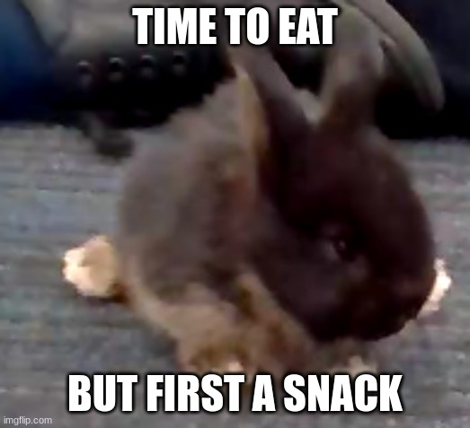 TIME TO EAT; BUT FIRST A SNACK | made w/ Imgflip meme maker