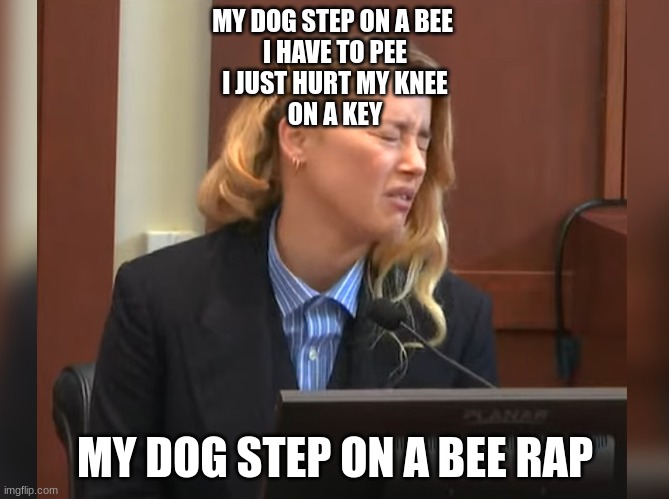 Amber Heard Dog Stepped on a Bee | MY DOG STEP ON A BEE 
I HAVE TO PEE
I JUST HURT MY KNEE
ON A KEY; MY DOG STEP ON A BEE RAP | image tagged in amber heard dog stepped on a bee | made w/ Imgflip meme maker