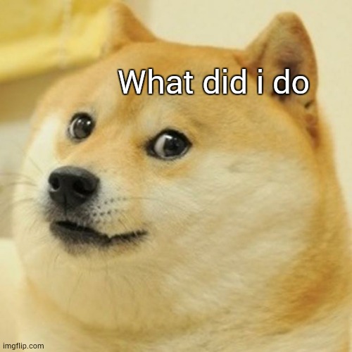 Doge Meme | What did i do | image tagged in memes,doge | made w/ Imgflip meme maker
