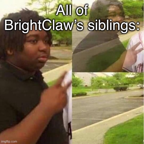 Okay uh- First SpottedStream died, then RedWing- | All of BrightClaw’s siblings: | image tagged in disappearing | made w/ Imgflip meme maker