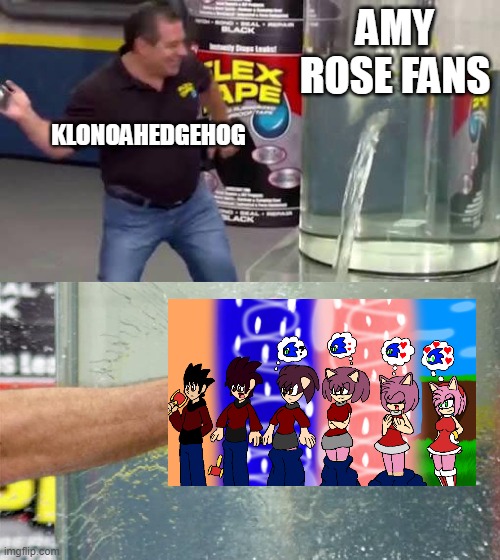 Klonoahedgehog be like | AMY ROSE FANS; KLONOAHEDGEHOG | image tagged in flex tape,tf_irl | made w/ Imgflip meme maker