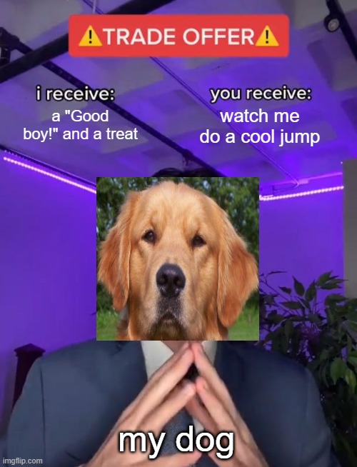 Trade Offer | a "Good boy!" and a treat; watch me do a cool jump; my dog | image tagged in trade offer | made w/ Imgflip meme maker