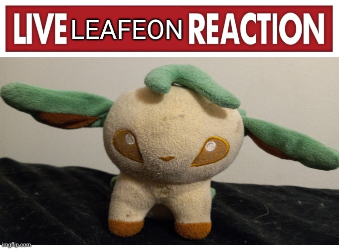 live leafeon reaction Blank Meme Template
