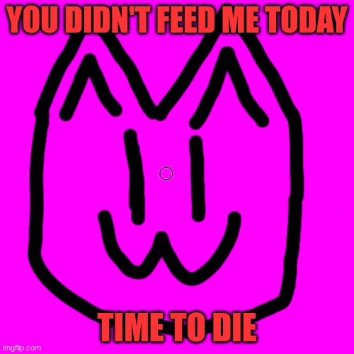 You didn't feed me today | YOU DIDN'T FEED ME TODAY; TIME TO DIE | image tagged in feed your cat | made w/ Imgflip meme maker