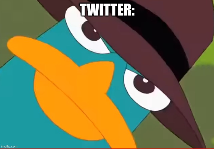 Perry looks at you | TWITTER: | image tagged in perry looks at you | made w/ Imgflip meme maker