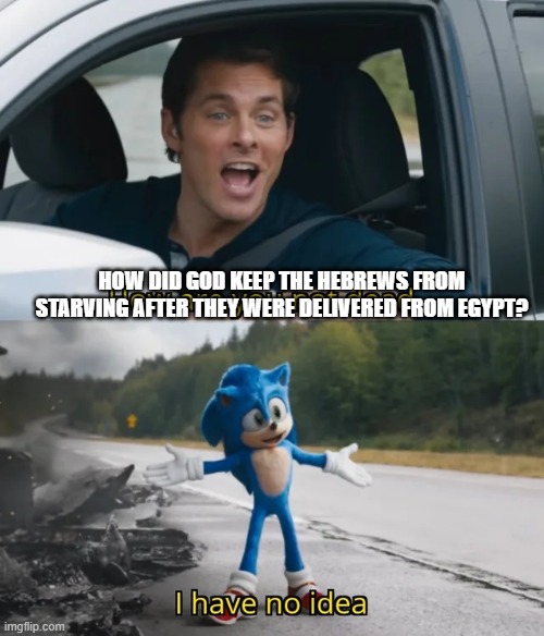 Me in Sunday School | HOW DID GOD KEEP THE HEBREWS FROM STARVING AFTER THEY WERE DELIVERED FROM EGYPT? | image tagged in sonic i have no idea | made w/ Imgflip meme maker