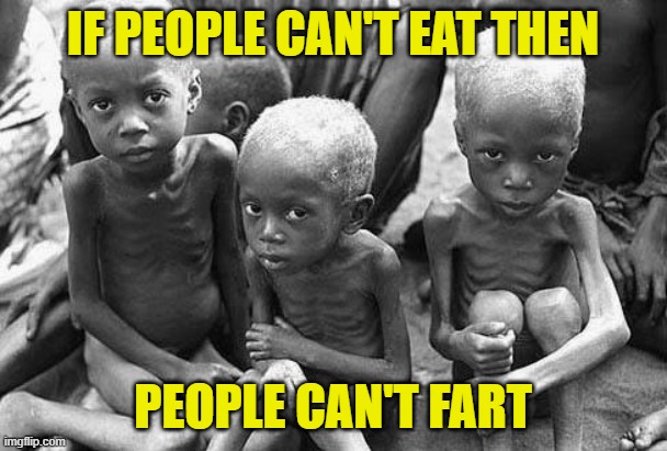 starving africans | IF PEOPLE CAN'T EAT THEN PEOPLE CAN'T FART | image tagged in starving africans | made w/ Imgflip meme maker