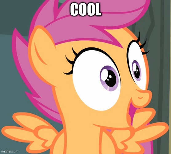 scootaloo's happy face | COOL | image tagged in scootaloo's happy face | made w/ Imgflip meme maker