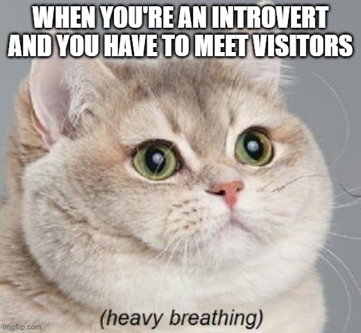 Kids: | WHEN YOU'RE AN INTROVERT AND YOU HAVE TO MEET VISITORS | image tagged in memes,heavy breathing cat | made w/ Imgflip meme maker