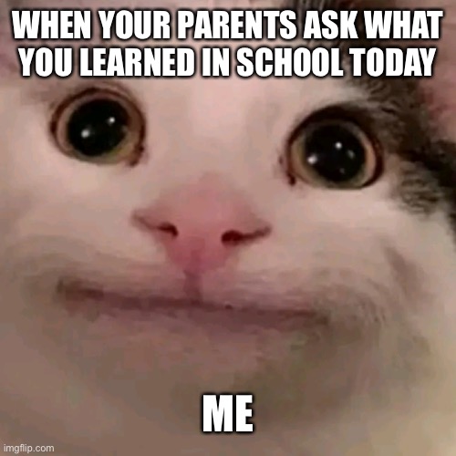 we all know guys | WHEN YOUR PARENTS ASK WHAT YOU LEARNED IN SCHOOL TODAY; ME | image tagged in beluga | made w/ Imgflip meme maker