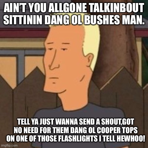 Dang ol' Boomhauer | AIN’T YOU ALLGONE TALKINBOUT SITTININ DANG OL BUSHES MAN. TELL YA JUST WANNA SEND A SHOUT,GOT NO NEED FOR THEM DANG OL COOPER TOPS ON ONE OF THOSE FLASHLIGHTS I TELL HEWHOO! | image tagged in dang ol' boomhauer,hunting,fleshlight,lonely | made w/ Imgflip meme maker