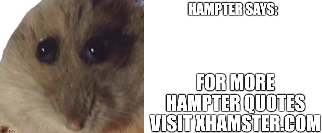 Hampter Quotes #3 | HAMPTER SAYS:; FOR MORE HAMPTER QUOTES VISIT XHAMSTER.COM | image tagged in hampter,quotes | made w/ Imgflip meme maker