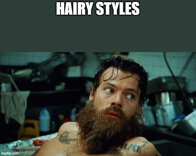 Hairy Styles | HAIRY STYLES | image tagged in harry styles,hairy,beard,shirtless,funny,memes | made w/ Imgflip meme maker