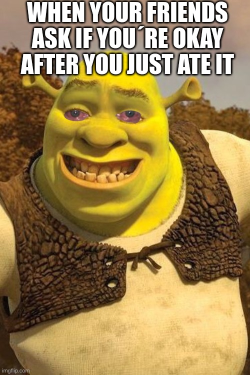 Smiling Shrek | WHEN YOUR FRIENDS ASK IF YOU´RE OKAY AFTER YOU JUST ATE IT | image tagged in smiling shrek | made w/ Imgflip meme maker