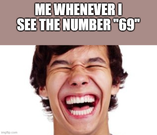 Whenever I See The Number 69 |  ME WHENEVER I SEE THE NUMBER "69" | image tagged in number,69,laugh,laughing,funny,memes | made w/ Imgflip meme maker