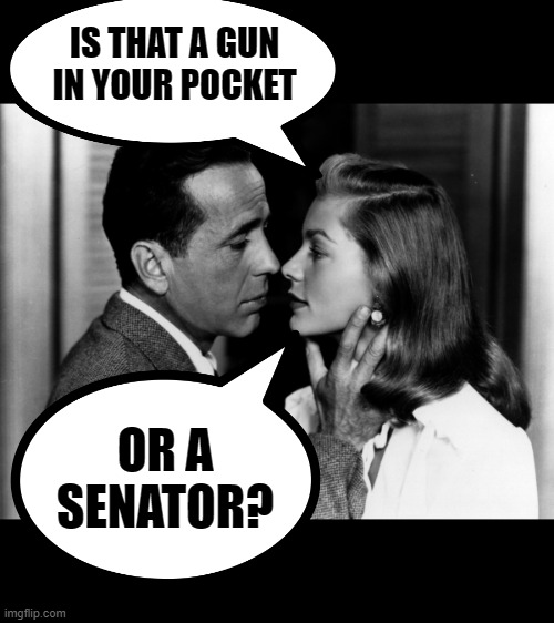 Sander Humphrey Bogart | IS THAT A GUN IN YOUR POCKET OR A SENATOR? | image tagged in sander humphrey bogart | made w/ Imgflip meme maker