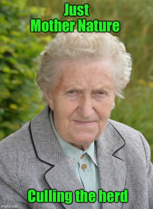 Hard Knocks Granny | Just Mother Nature Culling the herd | image tagged in hard knocks granny | made w/ Imgflip meme maker