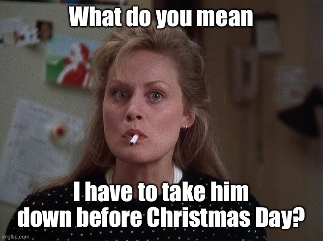 What do you mean I have to take him down before Christmas Day? | made w/ Imgflip meme maker