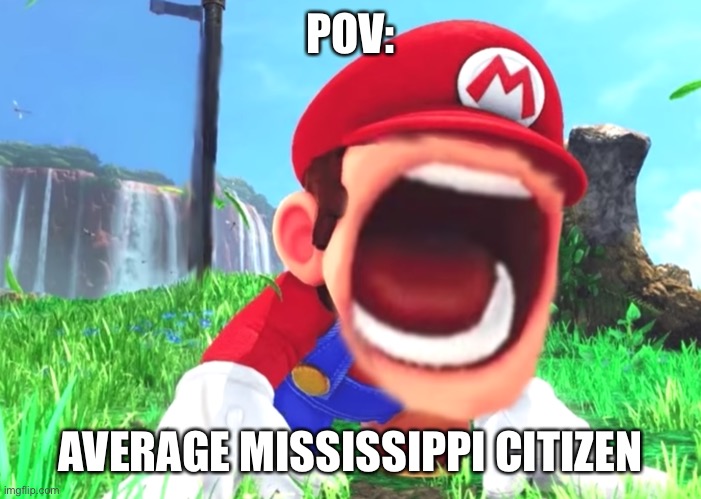 Mario screaming | POV: AVERAGE MISSISSIPPI CITIZEN | image tagged in mario screaming | made w/ Imgflip meme maker