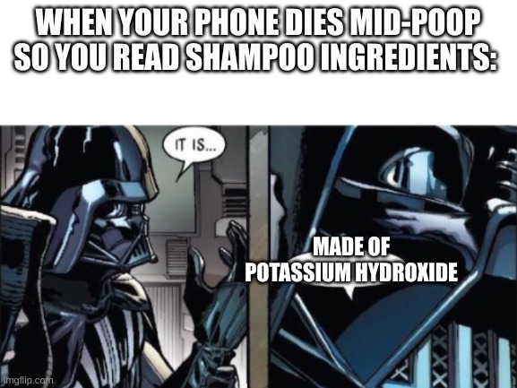 it is...relatable | WHEN YOUR PHONE DIES MID-POOP SO YOU READ SHAMPOO INGREDIENTS:; MADE OF POTASSIUM HYDROXIDE | image tagged in memes,it is acceptable,when your phone dies mid poop | made w/ Imgflip meme maker