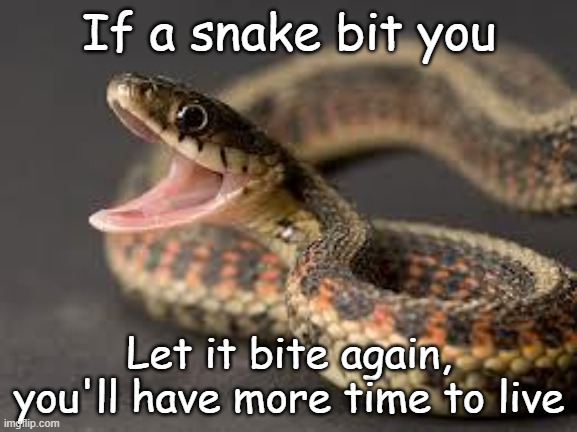 Good to know | If a snake bit you; Let it bite again, you'll have more time to live | image tagged in warning snake | made w/ Imgflip meme maker
