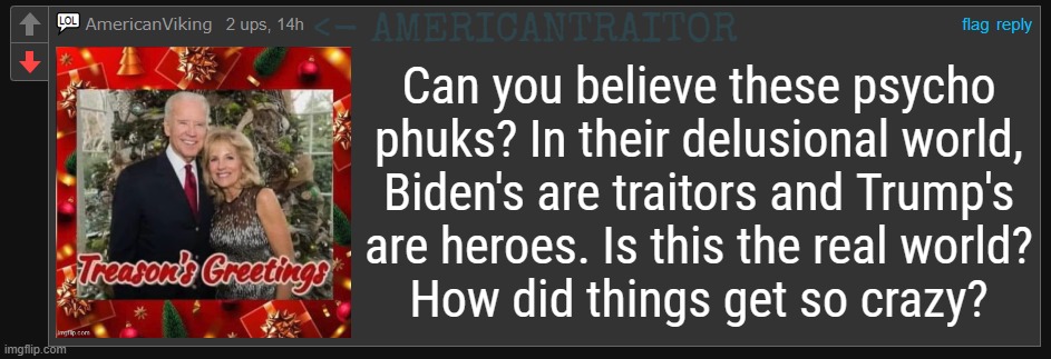 Ya know what they do to traitors....right? | <- AMERICANTRAITOR; Can you believe these psycho
phuks? In their delusional world,
Biden's are traitors and Trump's
are heroes. Is this the real world?
How did things get so crazy? | image tagged in american psycho,traitors,plus,noose,equals,justice | made w/ Imgflip meme maker