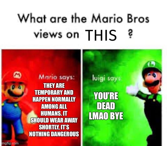 Mario Brothers Veiws | THIS THEY ARE TEMPORARY AND HAPPEN NORMALLY AMONG ALL HUMANS. IT SHOULD WEAR AWAY SHORTLY, IT’S NOTHING DANGEROUS YOU’RE DEAD LMAO BYE | image tagged in mario brothers veiws | made w/ Imgflip meme maker