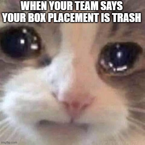 RUST | WHEN YOUR TEAM SAYS YOUR BOX PLACEMENT IS TRASH | image tagged in rust | made w/ Imgflip meme maker