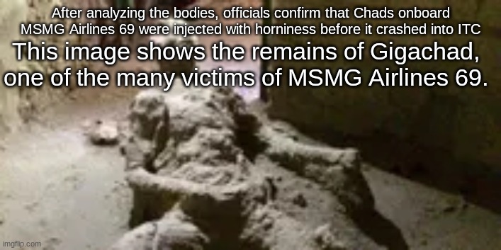 After analyzing the bodies, officials confirm that Chads onboard MSMG Airlines 69 were injected with horniness before it crashed into ITC; This image shows the remains of Gigachad, one of the many victims of MSMG Airlines 69. | made w/ Imgflip meme maker