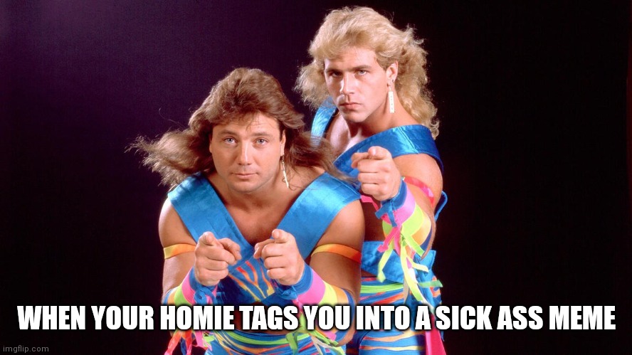 Meme Tag Team | WHEN YOUR HOMIE TAGS YOU INTO A SICK ASS MEME | image tagged in pro wrestling | made w/ Imgflip meme maker