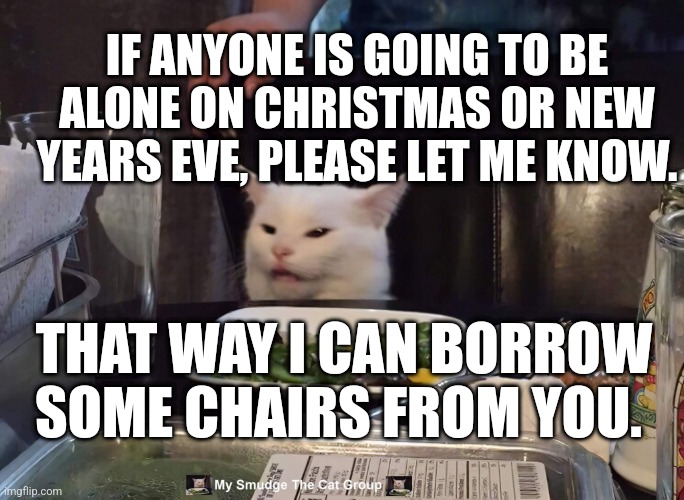 IF ANYONE IS GOING TO BE ALONE ON CHRISTMAS OR NEW YEARS EVE, PLEASE LET ME KNOW. THAT WAY I CAN BORROW SOME CHAIRS FROM YOU. | image tagged in smudge the cat | made w/ Imgflip meme maker