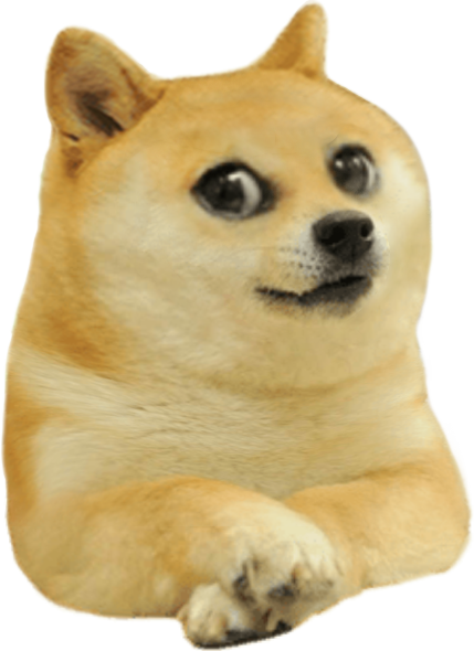 High Quality Doge kid Blank Meme Template