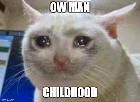 Sad cat | OW MAN CHILDHOOD | image tagged in sad cat | made w/ Imgflip meme maker