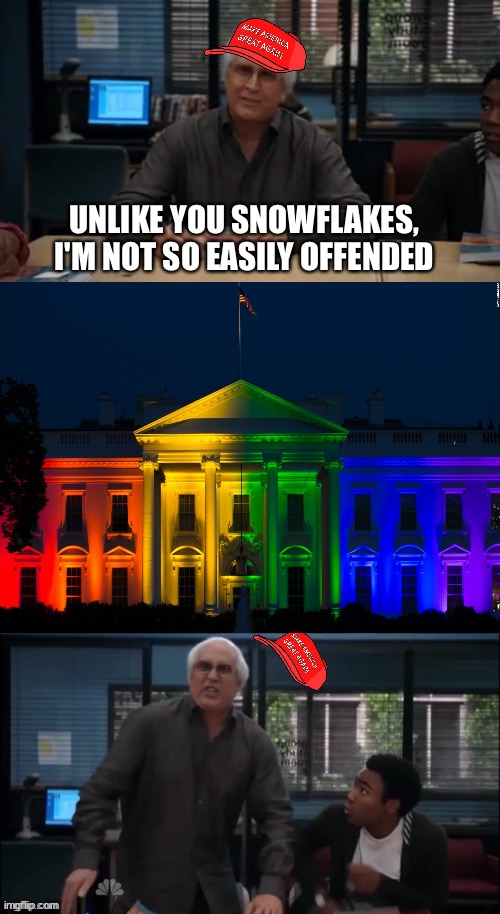 MAGA Snowflake | UNLIKE YOU SNOWFLAKES, I'M NOT SO EASILY OFFENDED | image tagged in maga snowflake | made w/ Imgflip meme maker