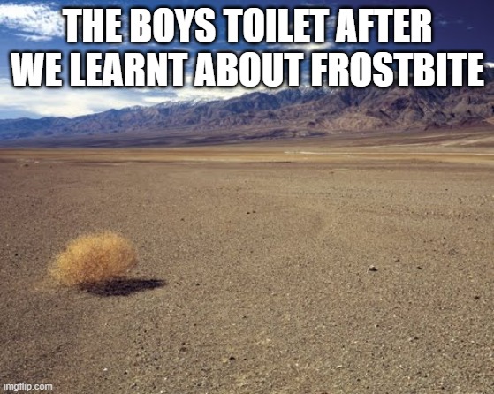 idk if its possible | THE BOYS TOILET AFTER WE LEARNT ABOUT FROSTBITE | image tagged in desert tumbleweed,memes | made w/ Imgflip meme maker