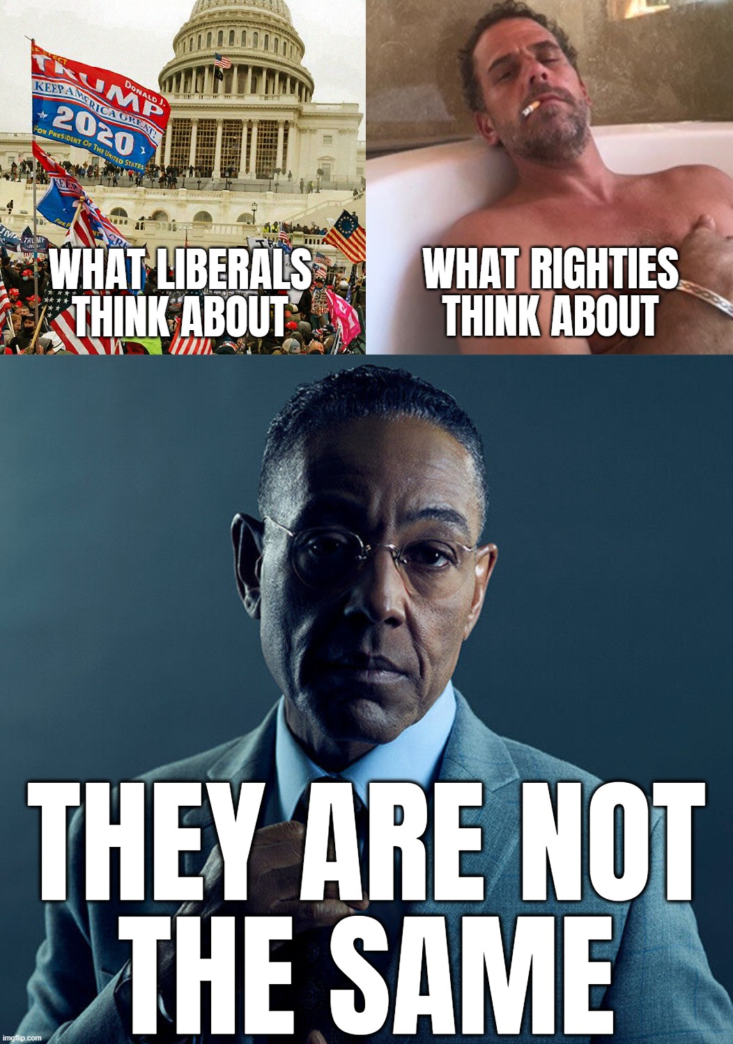 NOT THE SAME! | THEY ARE NOT
THE SAME | image tagged in gus fring we are not the same,liberals,righties,conservative hypocrisy,capitol hill,hunter biden | made w/ Imgflip meme maker
