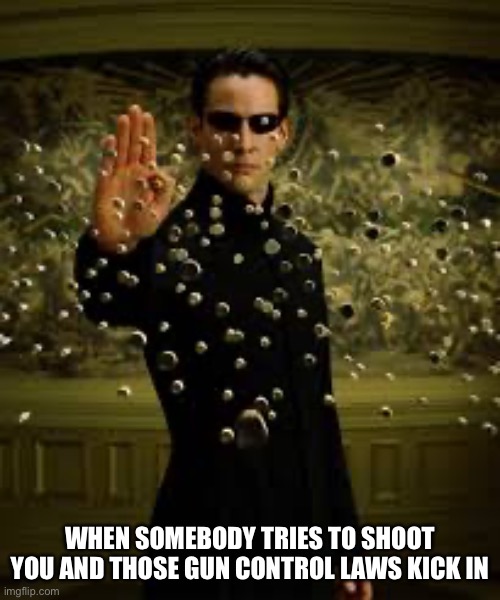 This is how it works, right? | WHEN SOMEBODY TRIES TO SHOOT YOU AND THOSE GUN CONTROL LAWS KICK IN | image tagged in neo,gun control | made w/ Imgflip meme maker