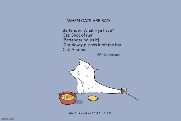 A Cat's Way Of Thinking | image tagged in memes,comics,cats,when,sad,rum | made w/ Imgflip meme maker