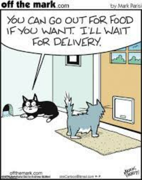 image tagged in memes,comics,cats,foods,outside,delivery | made w/ Imgflip meme maker