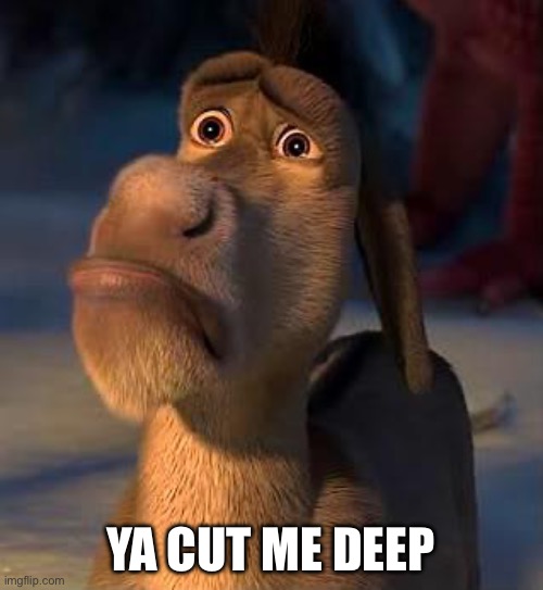 sad donkey | YA CUT ME DEEP | image tagged in sad donkey | made w/ Imgflip meme maker
