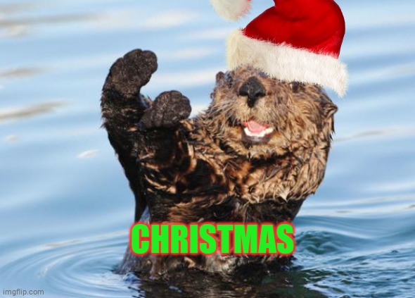 christmas | CHRISTMAS | image tagged in otter celebration | made w/ Imgflip meme maker