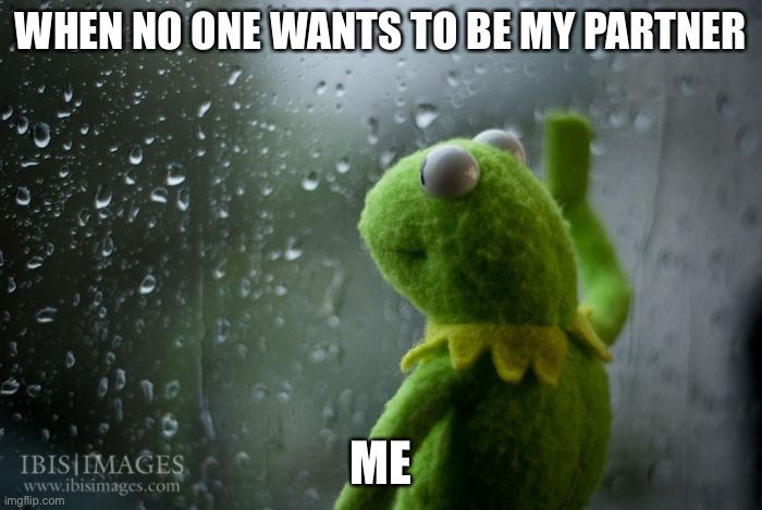 kermit window | WHEN NO ONE WANTS TO BE MY PARTNER; ME | image tagged in kermit window | made w/ Imgflip meme maker