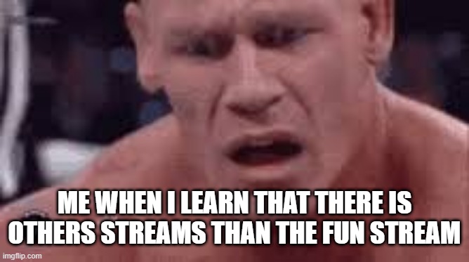 John Cena Sad / Confused | ME WHEN I LEARN THAT THERE IS OTHERS STREAMS THAN THE FUN STREAM | image tagged in john cena sad / confused | made w/ Imgflip meme maker