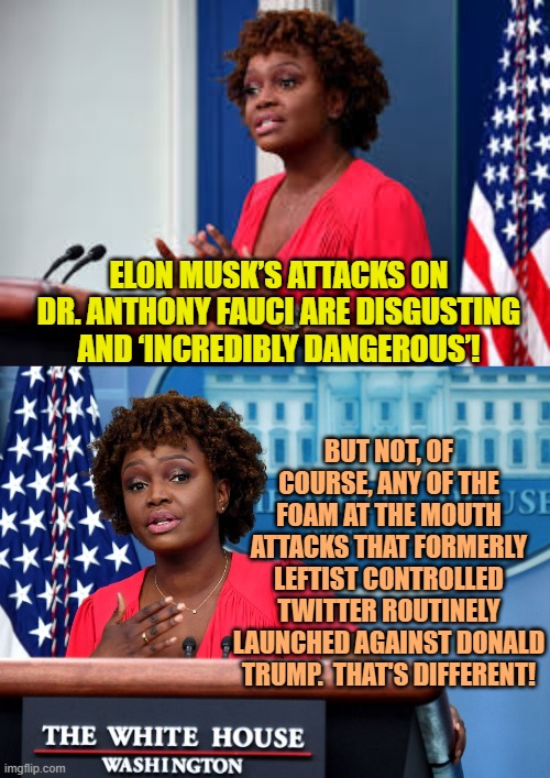 Don't you adore the putrid scent of bog standard leftist hypocrisy in the morning? | ELON MUSK’S ATTACKS ON DR. ANTHONY FAUCI ARE DISGUSTING AND ‘INCREDIBLY DANGEROUS’! BUT NOT, OF COURSE, ANY OF THE FOAM AT THE MOUTH ATTACKS THAT FORMERLY LEFTIST CONTROLLED TWITTER ROUTINELY LAUNCHED AGAINST DONALD TRUMP.  THAT'S DIFFERENT! | image tagged in truth | made w/ Imgflip meme maker