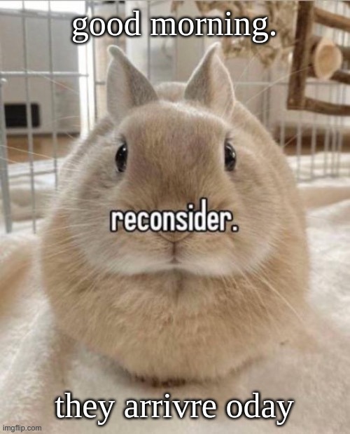 reconsider | good morning. they arrivre oday | image tagged in reconsider | made w/ Imgflip meme maker