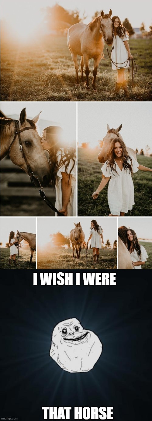 i wish i were that horse  lol | I WISH I WERE; THAT HORSE | image tagged in memes,forever alone | made w/ Imgflip meme maker