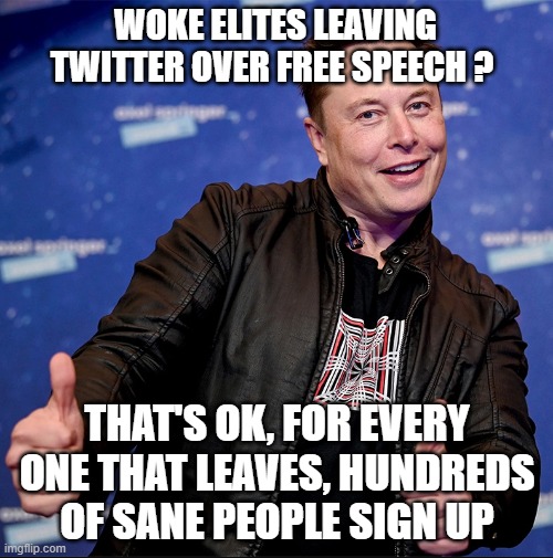 Elon Musk thumbs up | WOKE ELITES LEAVING TWITTER OVER FREE SPEECH ? THAT'S OK, FOR EVERY ONE THAT LEAVES, HUNDREDS OF SANE PEOPLE SIGN UP | image tagged in elon musk thumbs up | made w/ Imgflip meme maker
