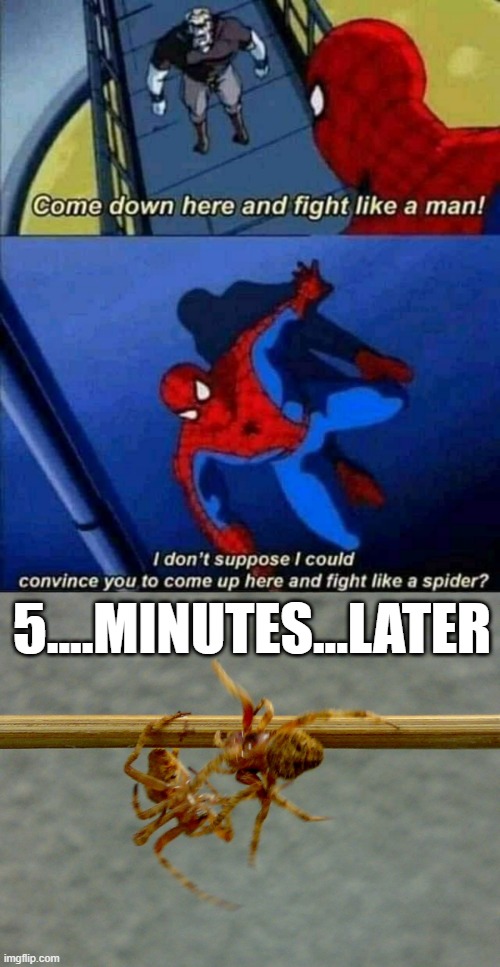 Spider Fight | 5....MINUTES...LATER | image tagged in spiderman | made w/ Imgflip meme maker
