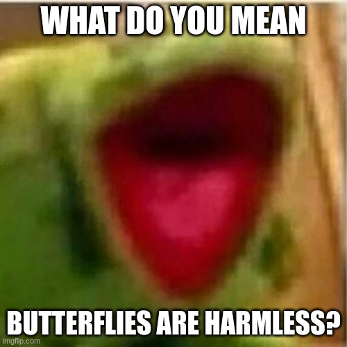 5 y/o me | WHAT DO YOU MEAN; BUTTERFLIES ARE HARMLESS? | image tagged in ahhhhhhhhhhhhh | made w/ Imgflip meme maker