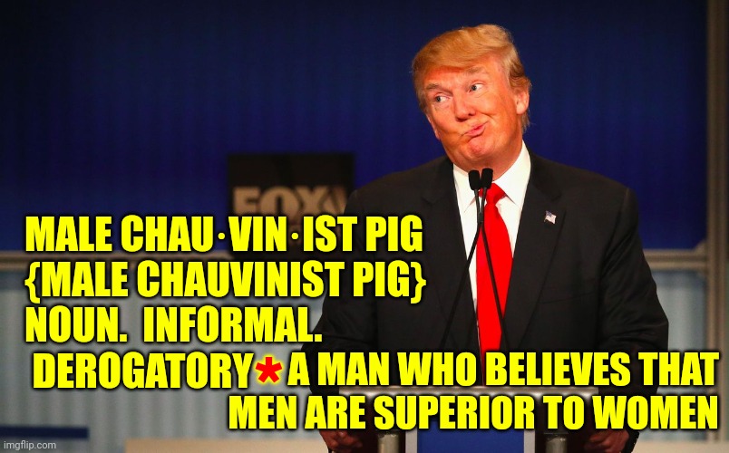 Definition Of : Male Chauvinist Pig | MALE CHAU·VIN·IST PIG
{MALE CHAUVINIST PIG}
NOUN.  INFORMAL. 
 DEROGATORY; A MAN WHO BELIEVES THAT MEN ARE SUPERIOR TO WOMEN; * | image tagged in definition,dictionary,look it up,male chauvinist pig,acceptance,special kind of stupid | made w/ Imgflip meme maker